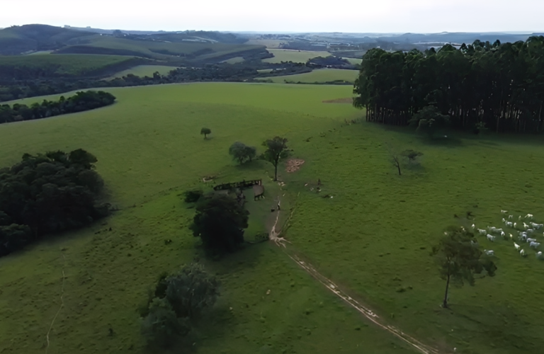 Screenshot at Oct 17 20-54-52 (1)