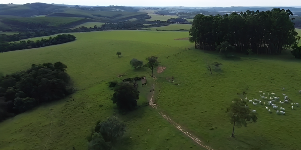 Screenshot at Oct 17 20-54-52 (1)