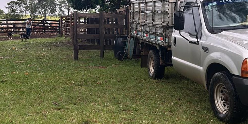 WhatsApp Image 2025-10-08 at 16.26.55 (1)