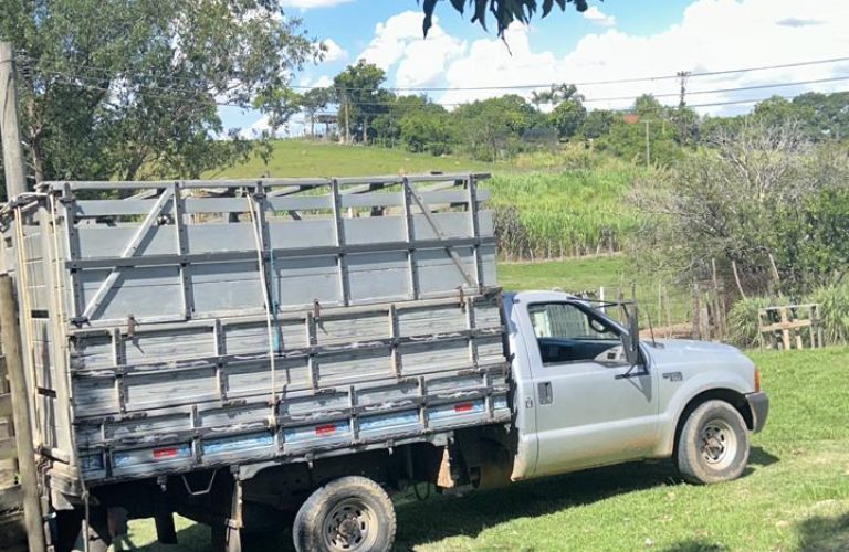 WhatsApp Image 2025-10-08 at 16.26.55