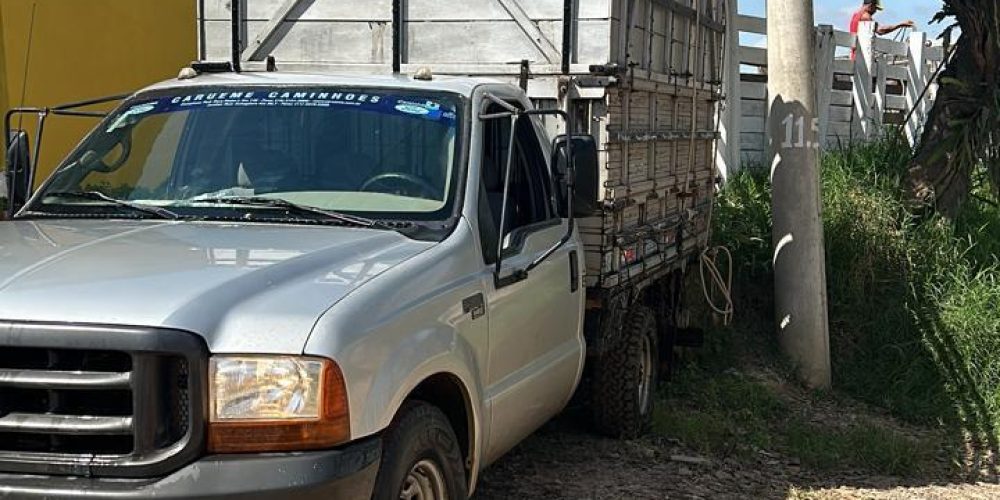 WhatsApp Image 2025-10-08 at 16.26.56