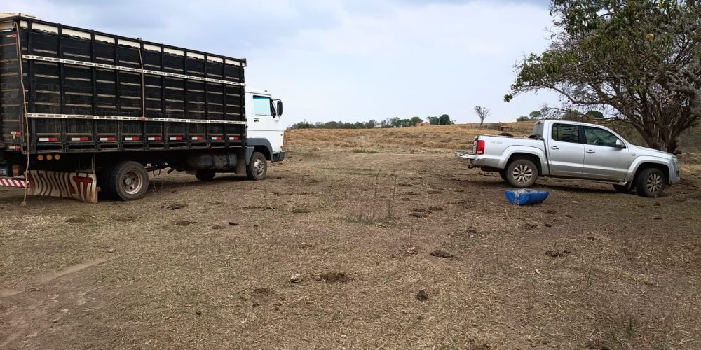 WhatsApp Image 2025-10-10 at 14.17.33 (1)