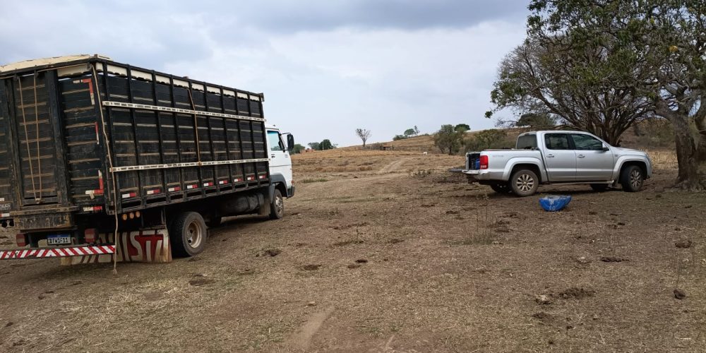 WhatsApp Image 2025-10-10 at 14.17.33 (2)