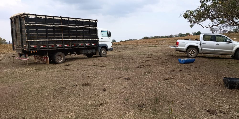 WhatsApp Image 2025-10-10 at 14.17.33