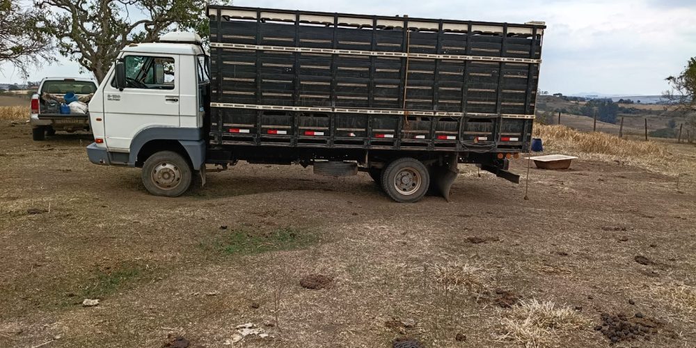 WhatsApp Image 2025-10-10 at 14.17.34 (1)