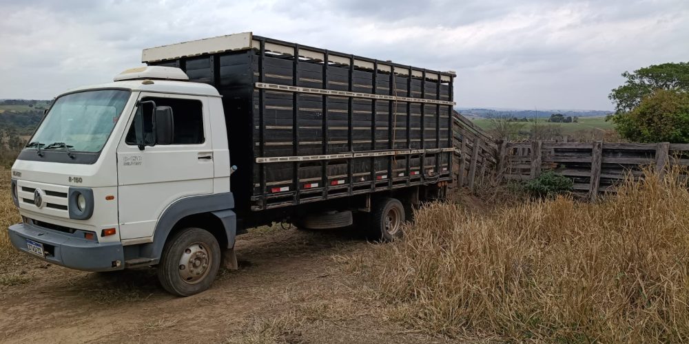 WhatsApp Image 2025-10-10 at 14.17.34 (2)