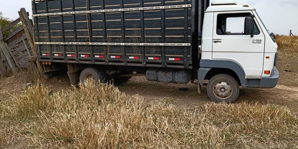 WhatsApp Image 2025-10-10 at 14.17.34 (3)