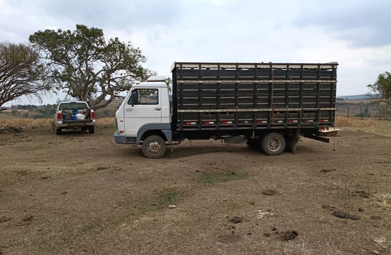 WhatsApp Image 2025-10-10 at 14.17.34