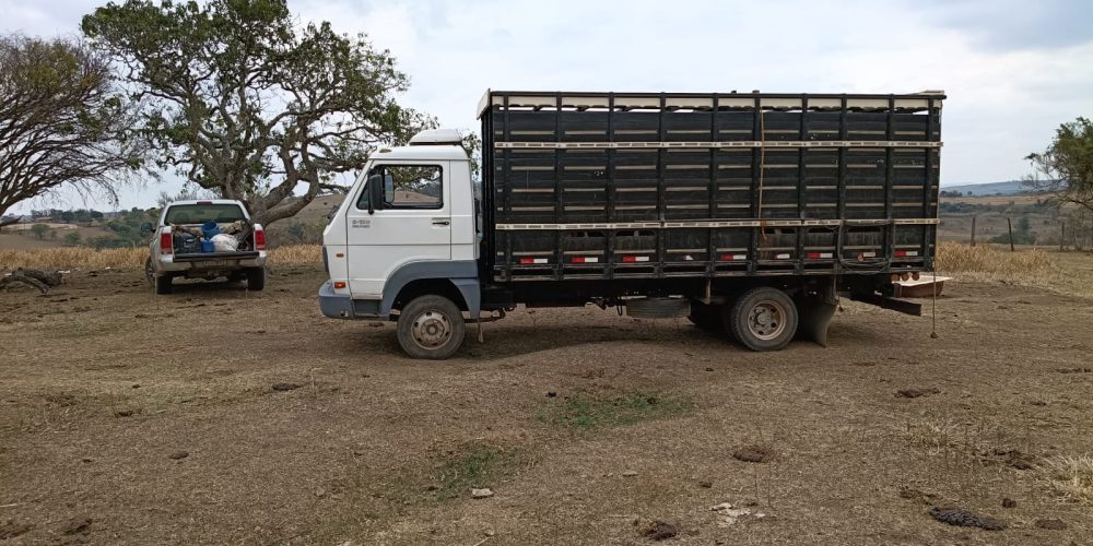 WhatsApp Image 2025-10-10 at 14.17.34