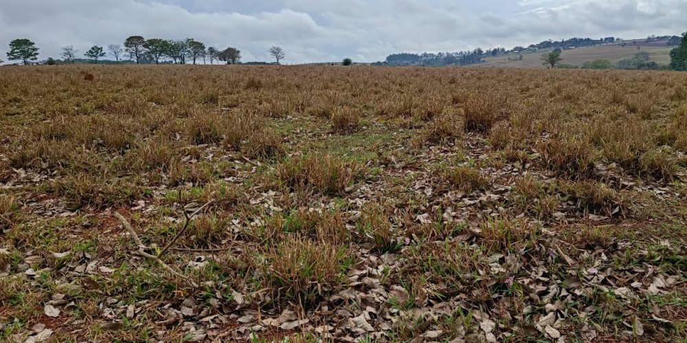 WhatsApp Image 2025-10-14 at 11.31.59 (1)