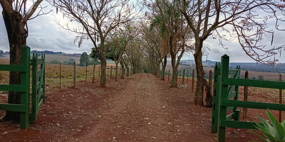 WhatsApp Image 2025-10-14 at 11.31.59 (2)