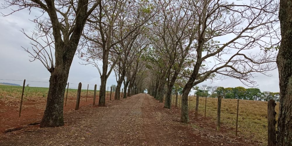 WhatsApp Image 2025-10-14 at 11.31.59 (3)