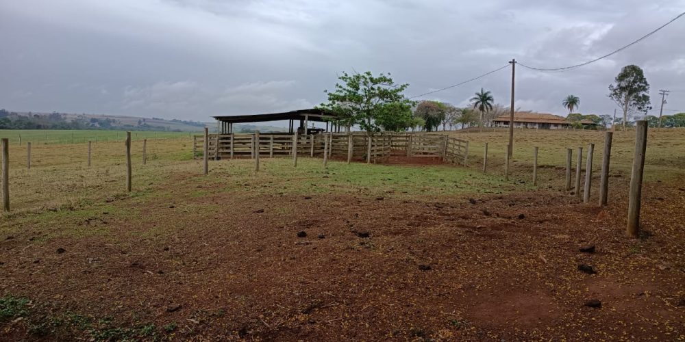 WhatsApp Image 2025-10-14 at 11.31.59 (4)