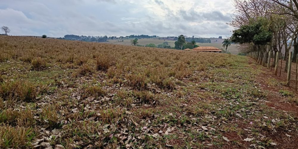 WhatsApp Image 2025-10-14 at 11.31.59