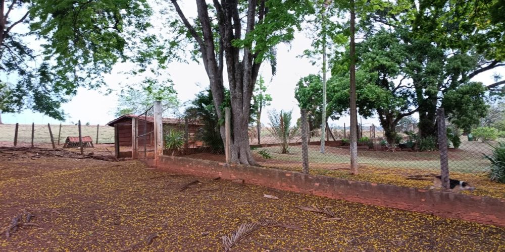 WhatsApp Image 2025-10-14 at 11.32.00 (2)