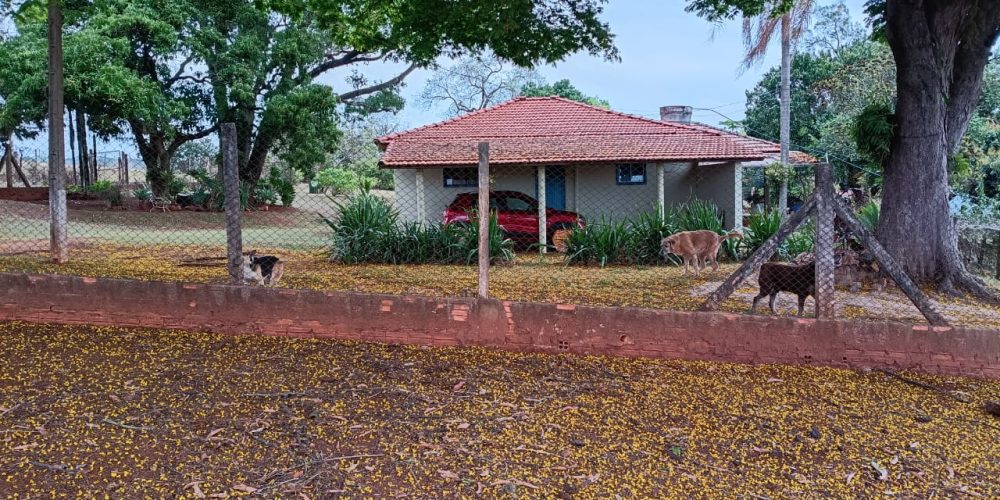 WhatsApp Image 2025-10-14 at 11.32.00 (3)