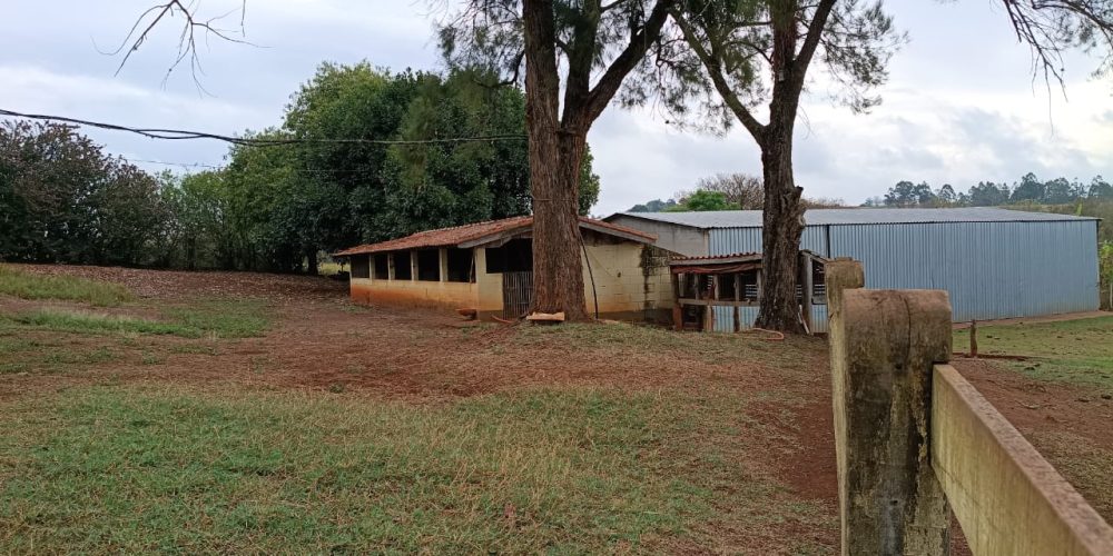 WhatsApp Image 2025-10-14 at 11.32.00 (4)