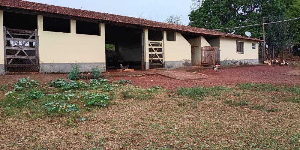 WhatsApp Image 2025-10-14 at 11.32.00 (5)