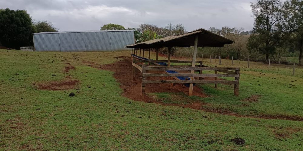 WhatsApp Image 2025-10-14 at 11.32.00 (6)