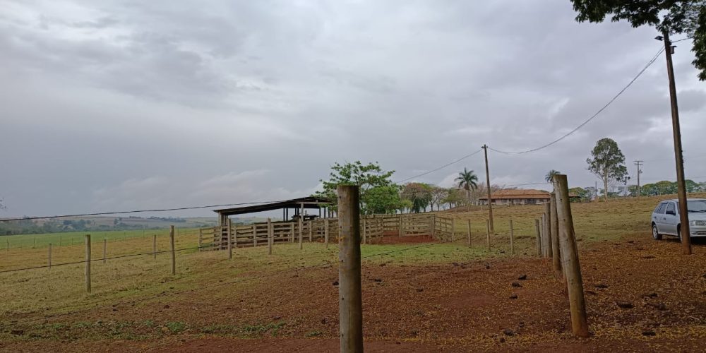 WhatsApp Image 2025-10-14 at 11.32.00