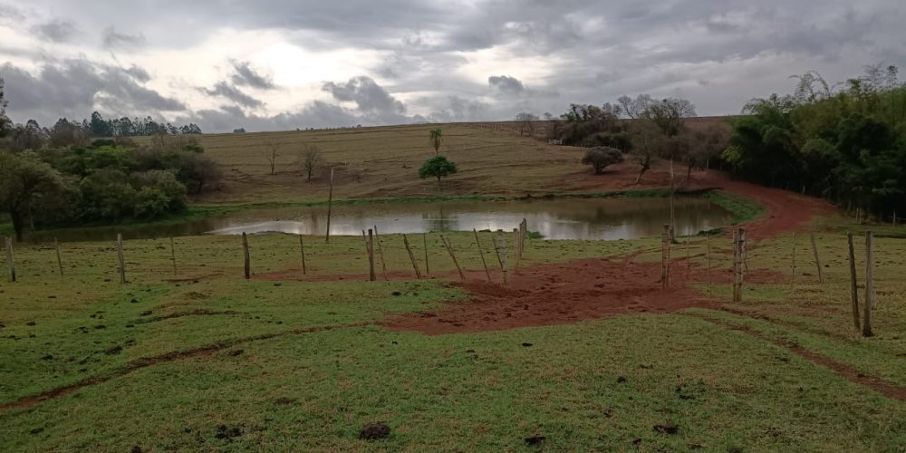 WhatsApp Image 2025-10-14 at 11.32.01 (1)