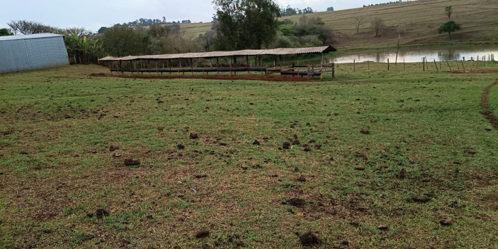 WhatsApp Image 2025-10-14 at 11.32.01 (2)