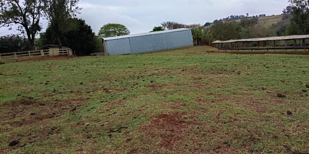 WhatsApp Image 2025-10-14 at 11.32.01 (3)