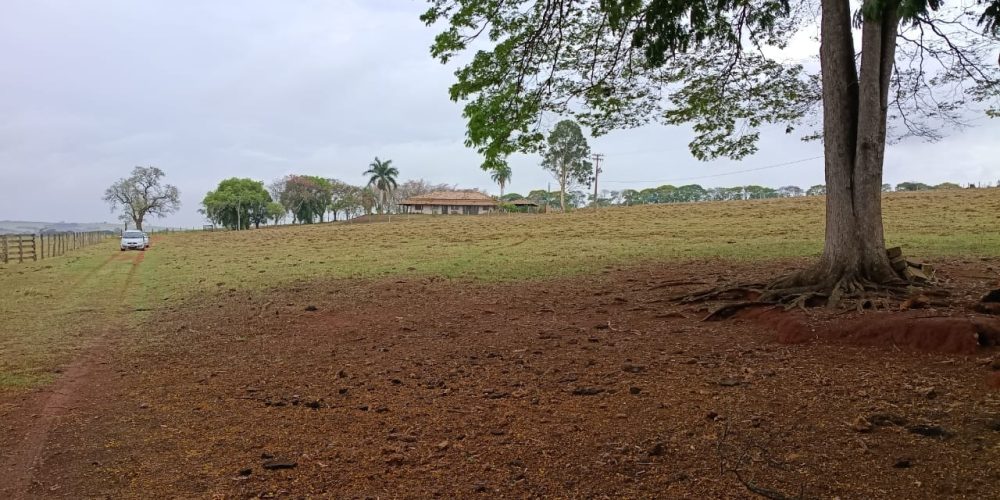 WhatsApp Image 2025-10-14 at 11.32.01 (4)