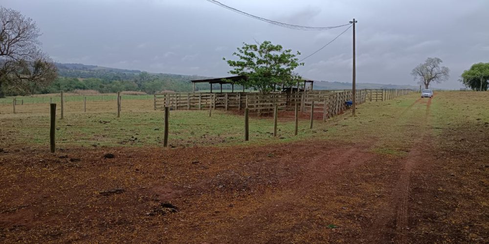 WhatsApp Image 2025-10-14 at 11.32.01 (5)