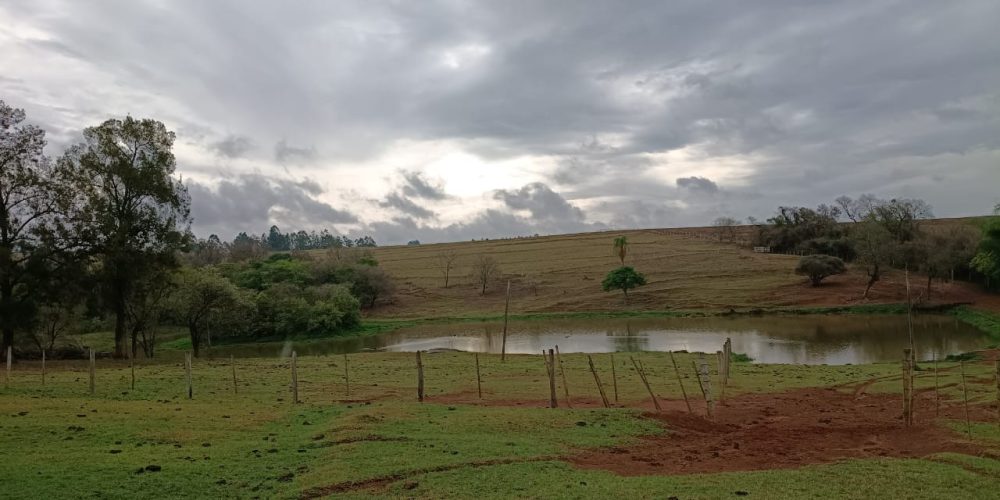 WhatsApp Image 2025-10-14 at 11.32.01