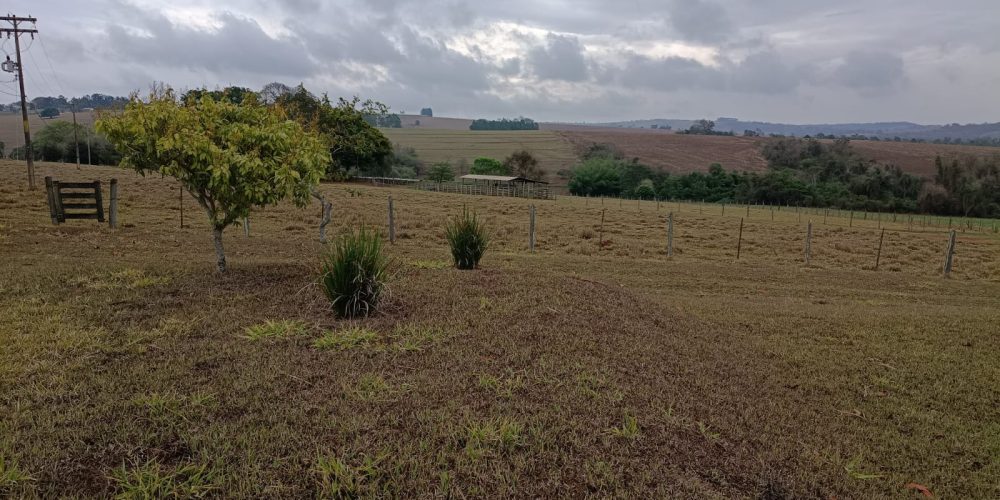 WhatsApp Image 2025-10-14 at 11.32.02 (3)