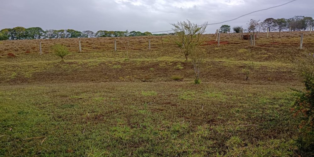 WhatsApp Image 2025-10-14 at 11.32.02 (4)