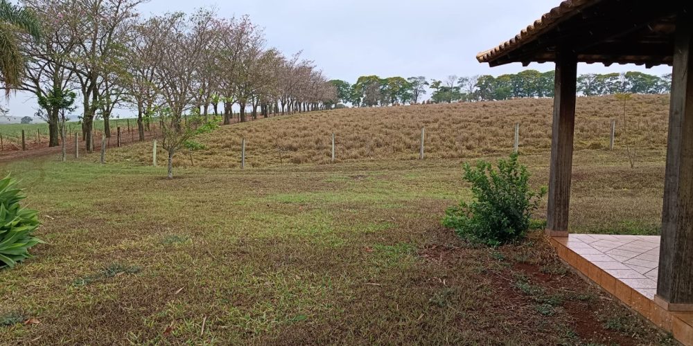 WhatsApp Image 2025-10-14 at 11.32.02