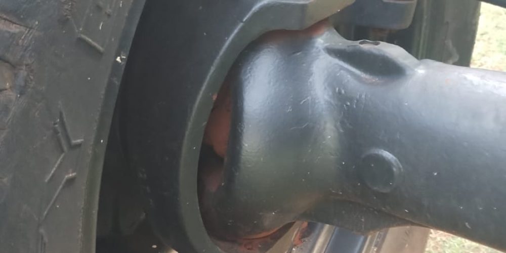 WhatsApp Image 2025-10-30 at 19.08.47 (1)