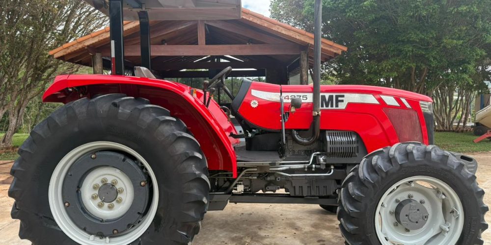 WhatsApp Image 2025-10-30 at 19.36.11