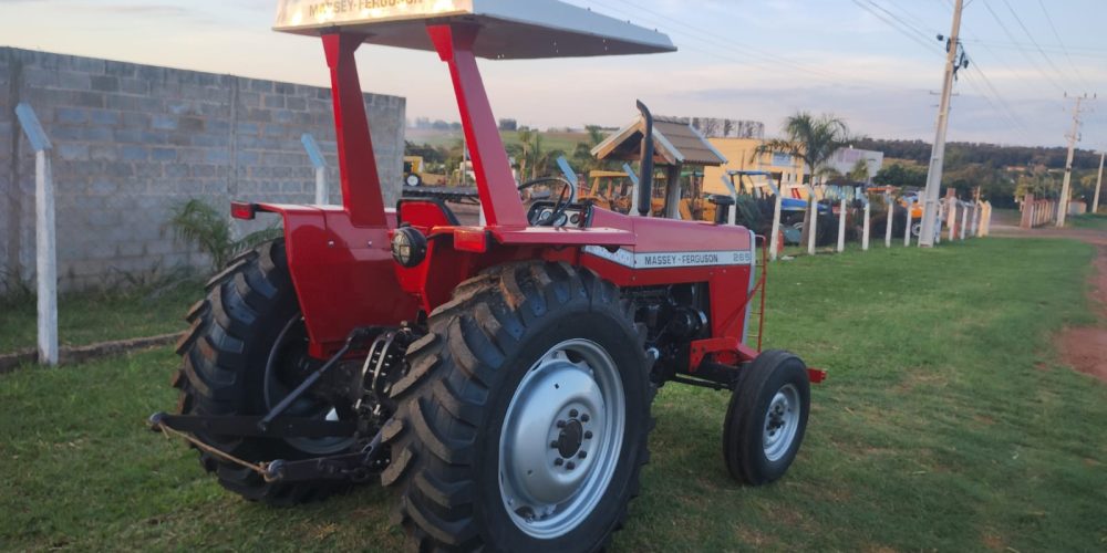 WhatsApp Image 2025-10-31 at 08.56.03