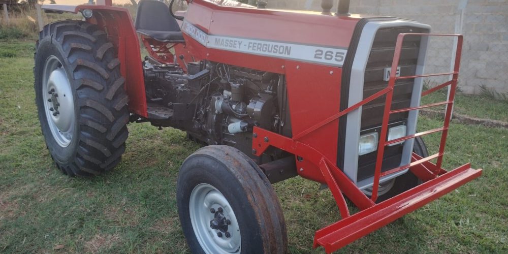 WhatsApp Image 2025-10-31 at 08.56.04 (1)