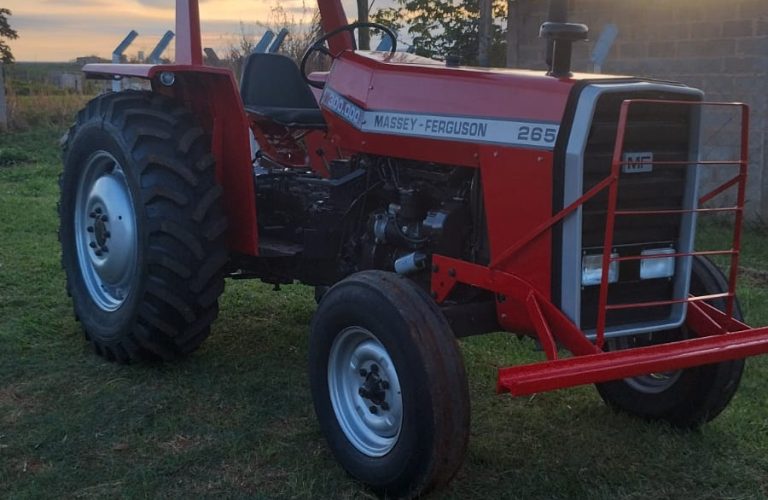 WhatsApp Image 2025-10-31 at 08.56.04 (2)