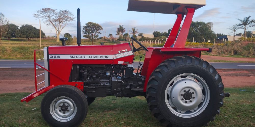 WhatsApp Image 2025-10-31 at 08.56.04