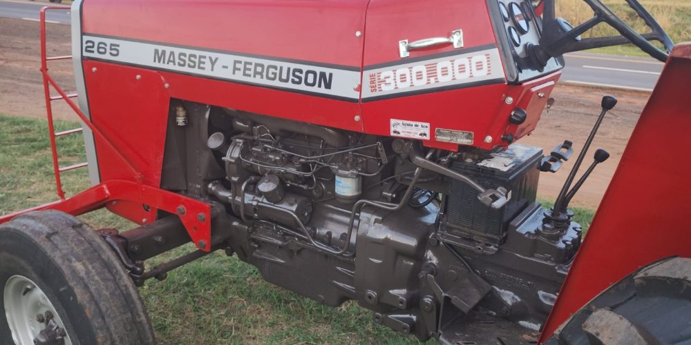 WhatsApp Image 2025-10-31 at 08.56.05