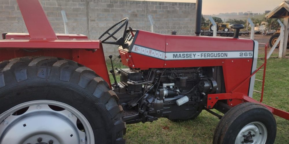 WhatsApp Image 2025-10-31 at 08.56.06