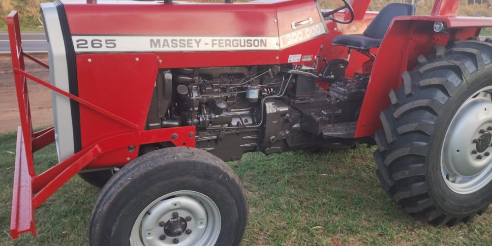 WhatsApp Image 2025-10-31 at 08.56.07