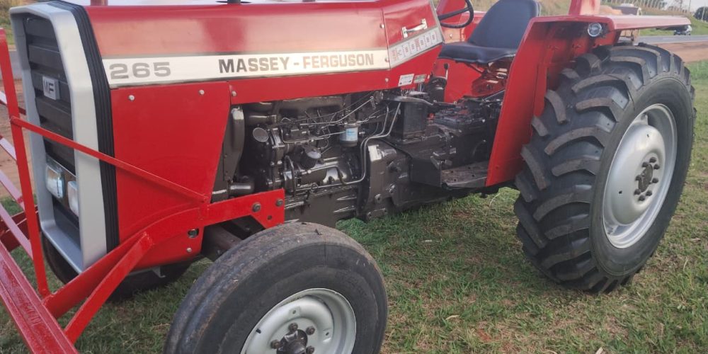 WhatsApp Image 2025-10-31 at 08.56.08