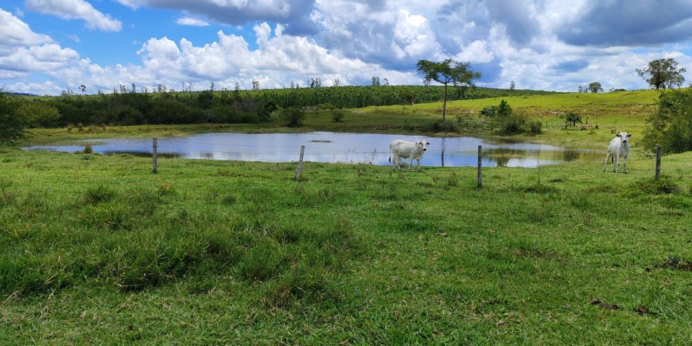 WhatsApp Image 2025-10-31 at 10.11.00 (1)