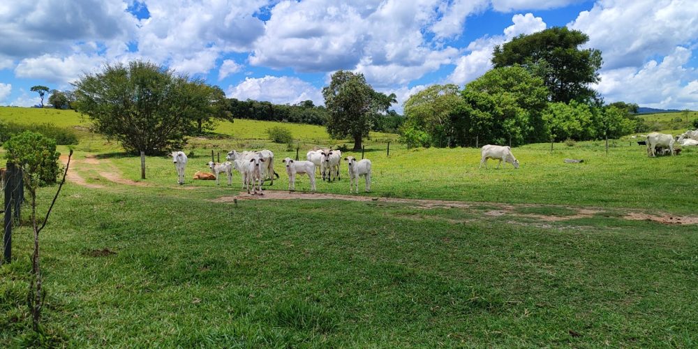 WhatsApp Image 2025-10-31 at 10.11.00 (2)