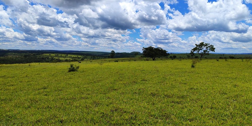 WhatsApp Image 2025-10-31 at 10.11.01 (1)