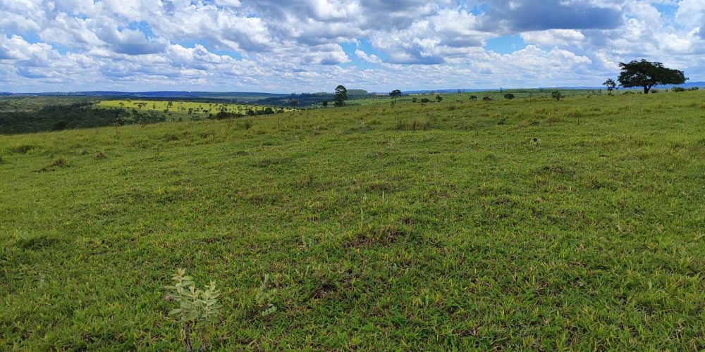 WhatsApp Image 2025-10-31 at 10.11.01 (2)