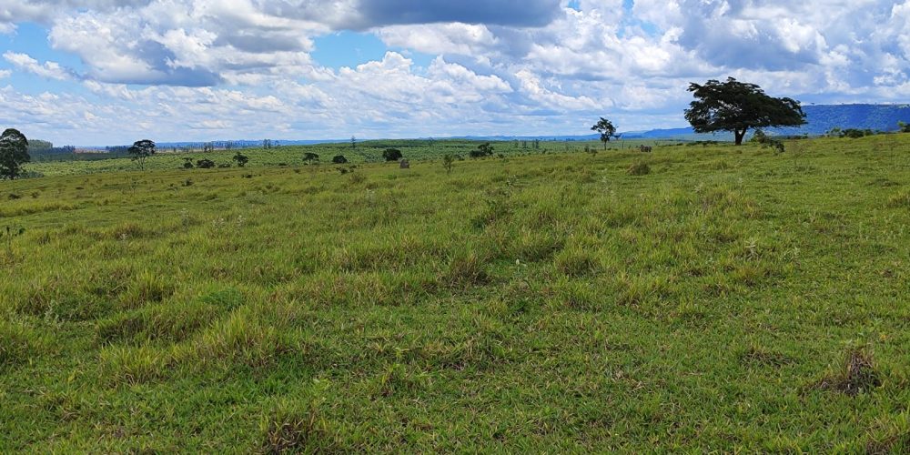 WhatsApp Image 2025-10-31 at 10.11.01 (3)