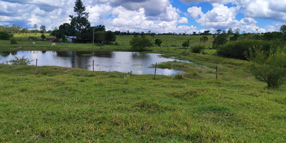 WhatsApp Image 2025-10-31 at 10.11.01