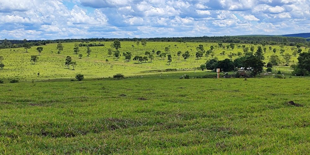 WhatsApp Image 2025-10-31 at 10.11.02 (1)